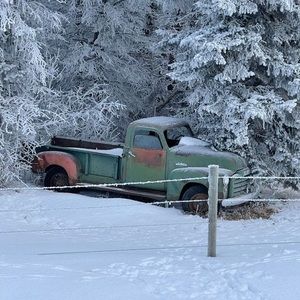 Meet your Posher, Franklin